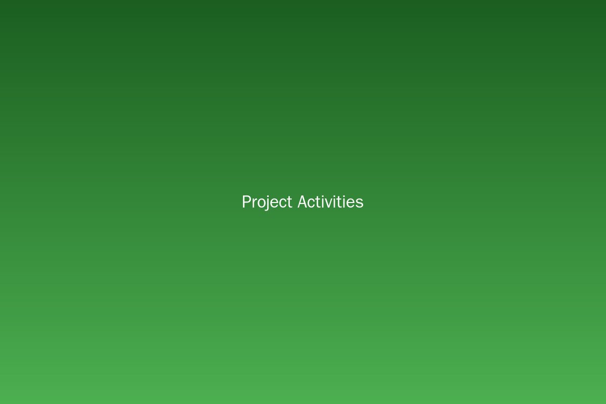 Project activities
